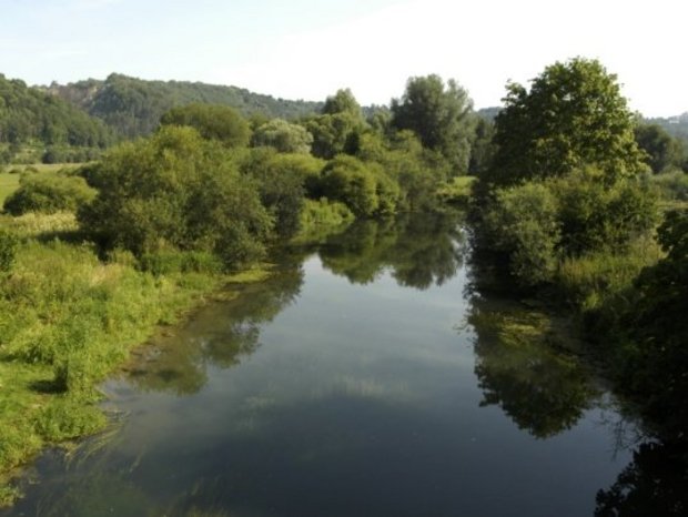 Blau bei Arnegg